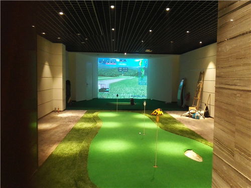 專業(yè)室內(nèi)高爾夫模擬器